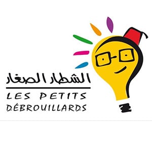 Résultats de l’appel à projet 2023 « Jeunesse et initiatives locales » - La France au Maroc logo les petits debrouillards - La France au Maroc